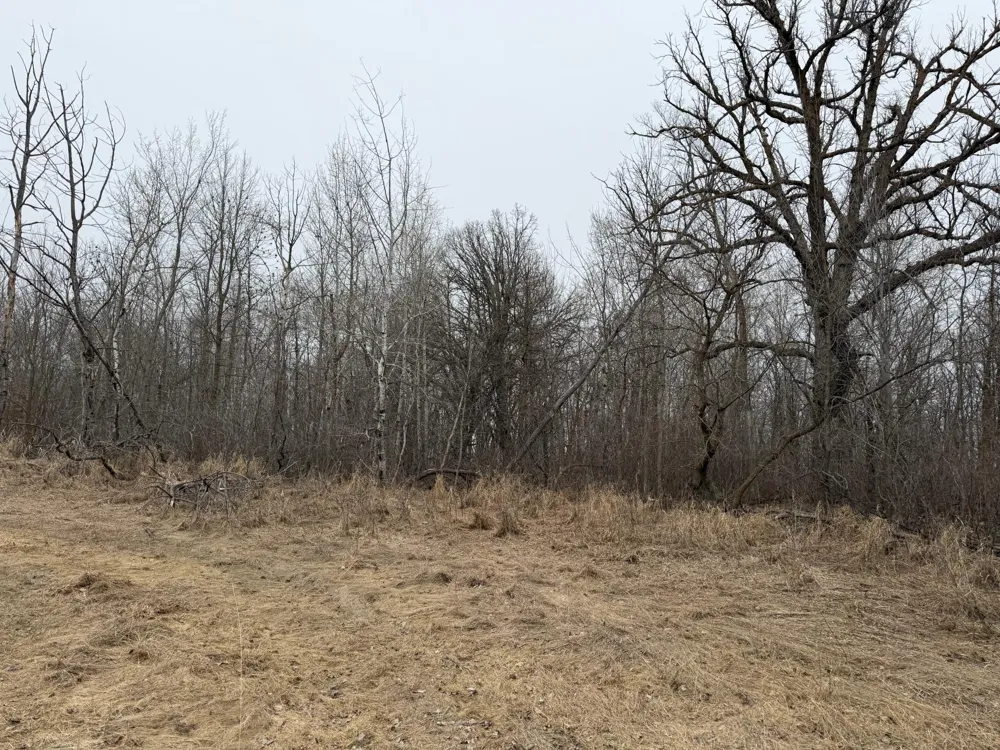 TBD 460th Street Gonvick, MN 56644