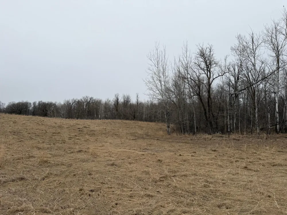 TBD 460th Street Gonvick, MN 56644