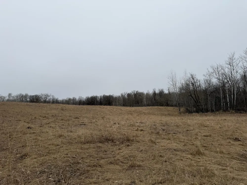 TBD 460th Street Gonvick, MN 56644