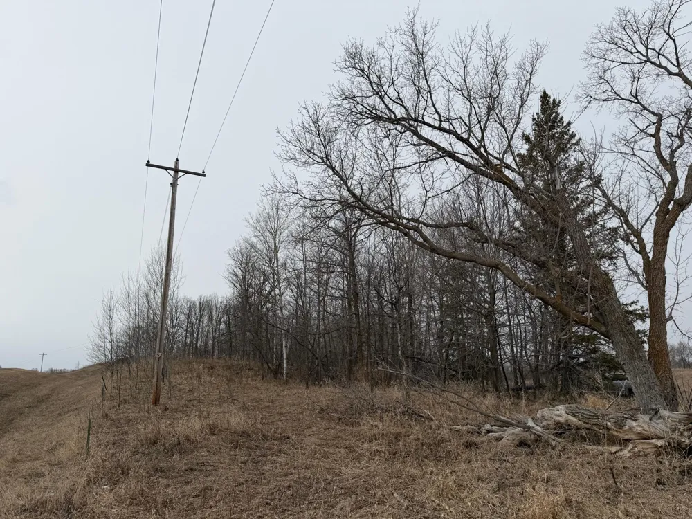TBD 460th Street Gonvick, MN 56644