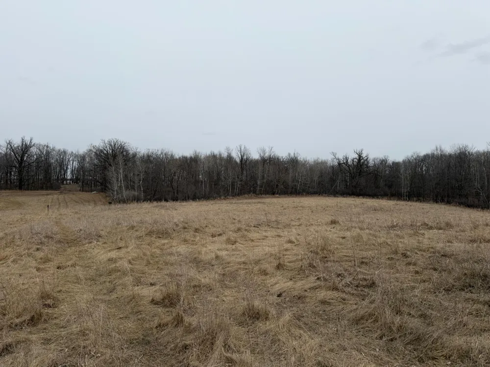 TBD 460th Street Gonvick, MN 56644