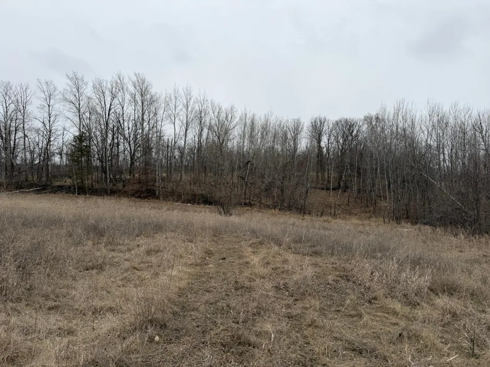 TBD 460th Street Gonvick, MN 56644