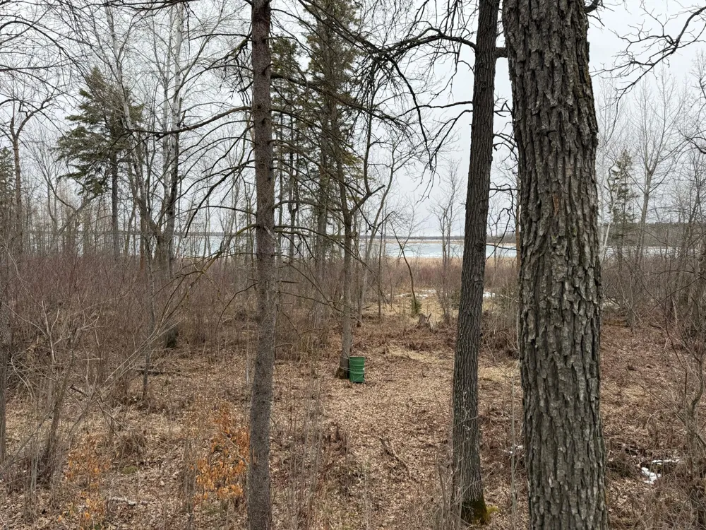 TBD 460th Street Gonvick, MN 56644