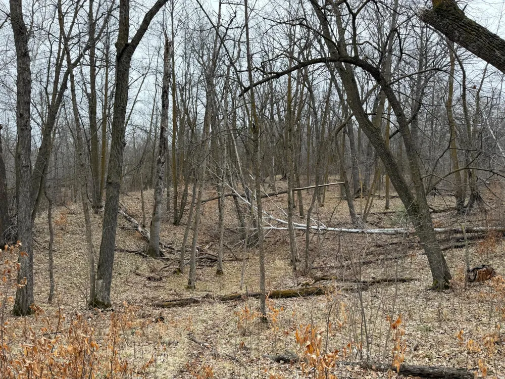 TBD 460th Street Gonvick, MN 56644