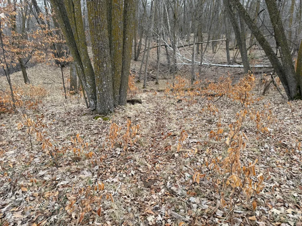 TBD 460th Street Gonvick, MN 56644