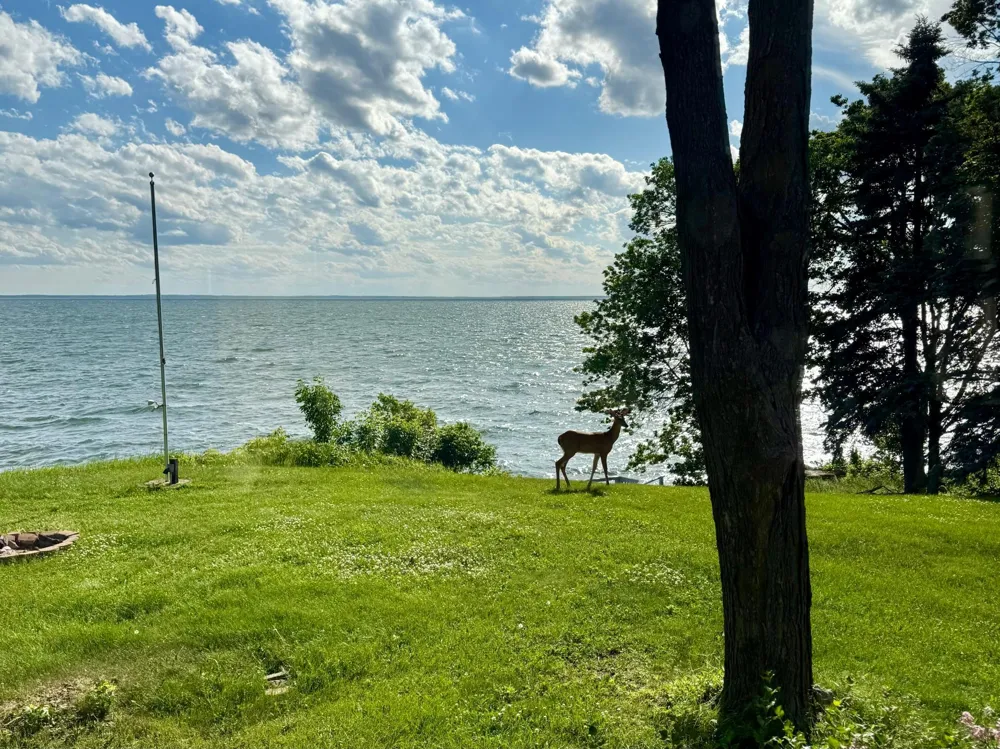 46315 Lucretia Lane Isle, MN 56342
