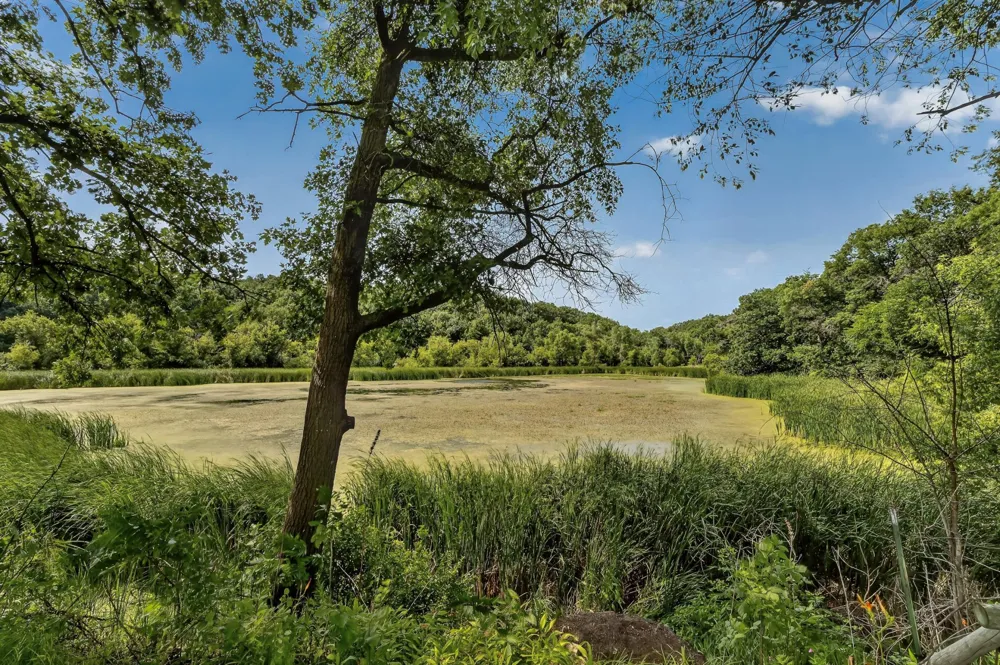 13345 25th Avenue NW Oronoco, MN 55960