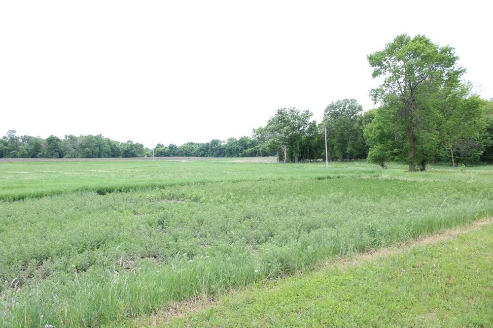 10142 225th Street Silver Lake, MN 55381