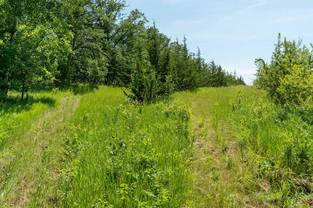 TBD Shady Nook Drive Underwood, MN 56586