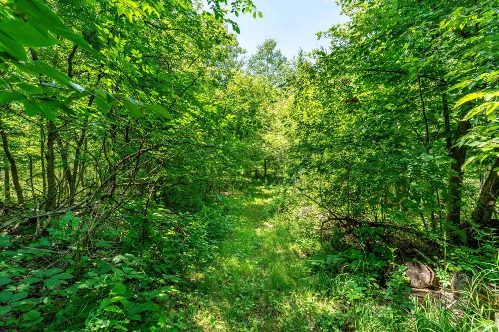 TBD Shady Nook Drive Underwood, MN 56586