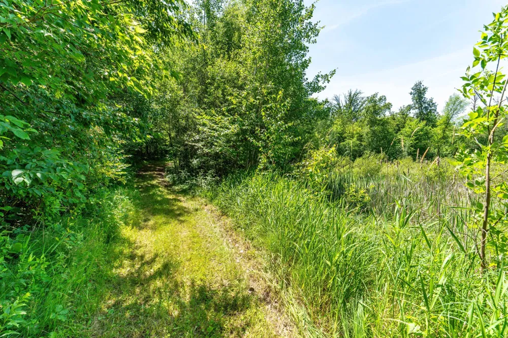 TBD Shady Nook Drive Underwood, MN 56586