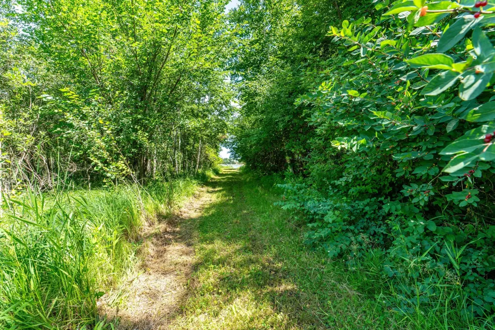 TBD Shady Nook Drive Underwood, MN 56586