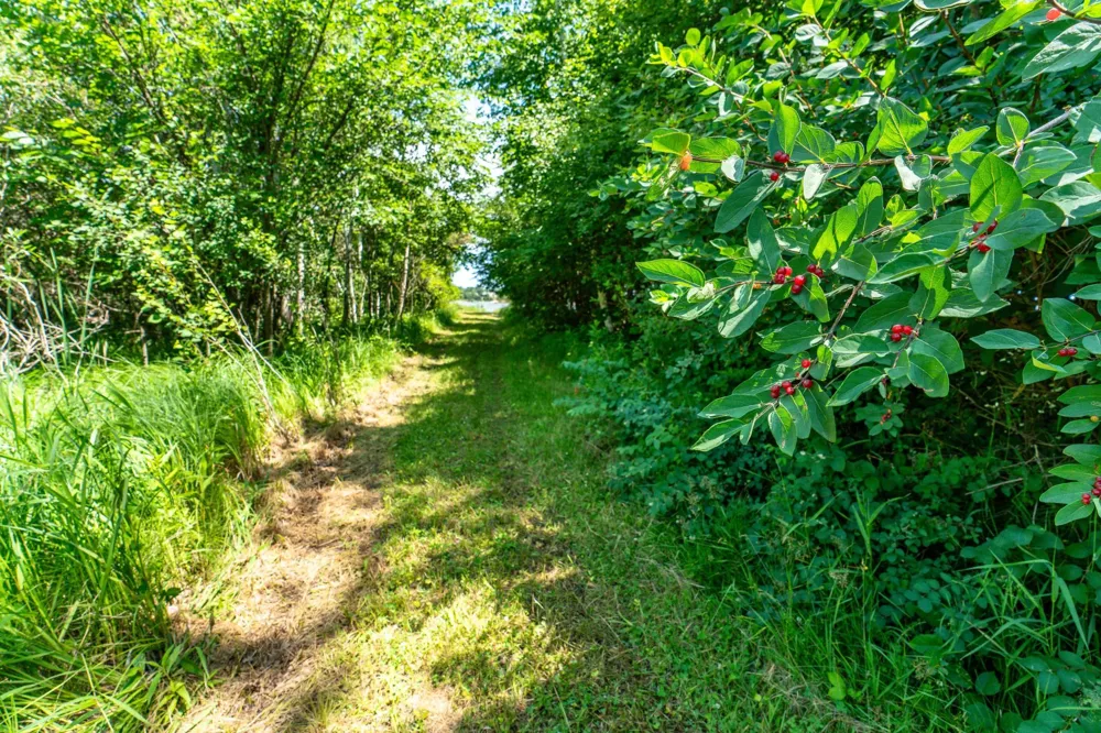 TBD Shady Nook Drive Underwood, MN 56586