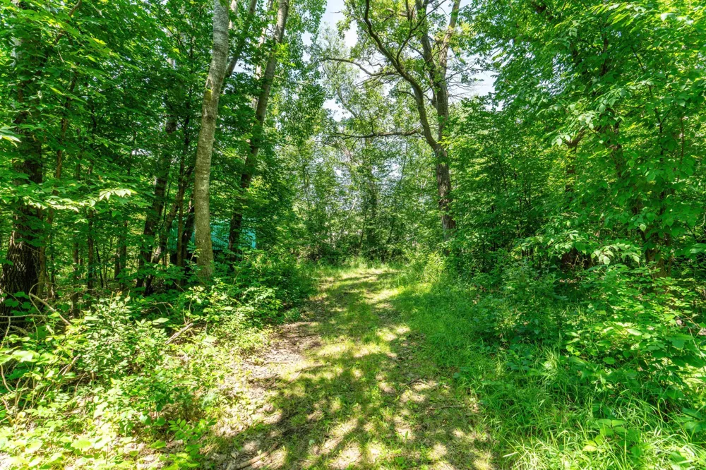TBD Shady Nook Drive Underwood, MN 56586