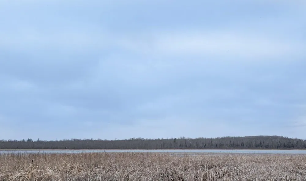 TDB County Rd 453 Bovey, MN 55709