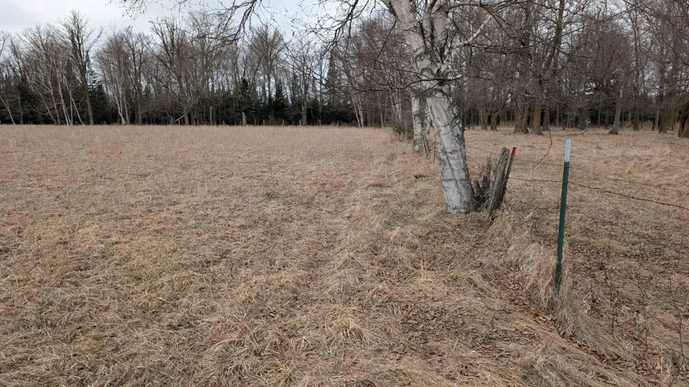 TDB County Rd 453 Bovey, MN 55709