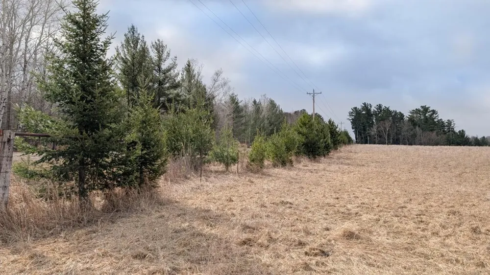 TDB County Rd 453 Bovey, MN 55709