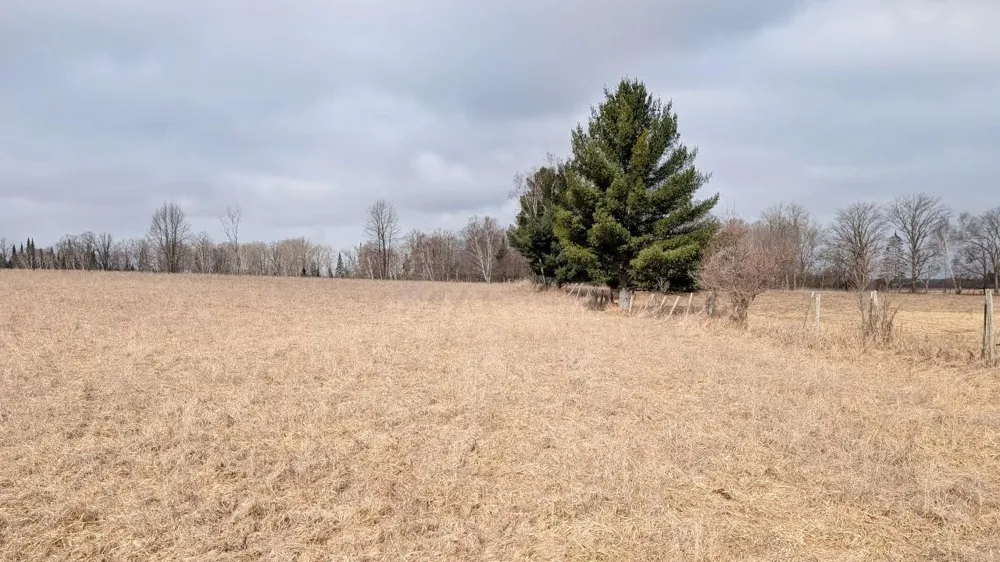 TDB County Rd 453 Bovey, MN 55709