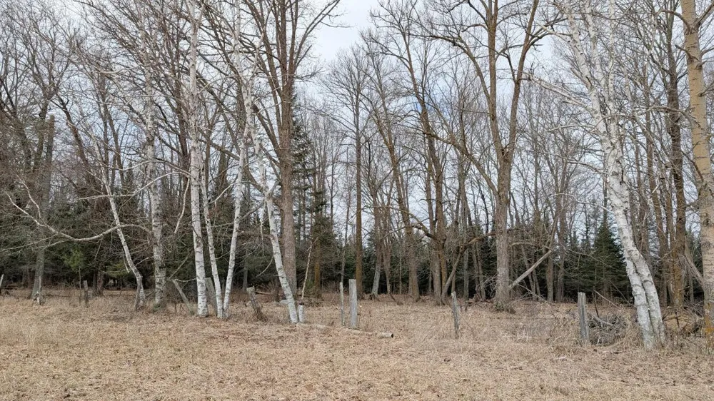 TDB County Rd 453 Bovey, MN 55709