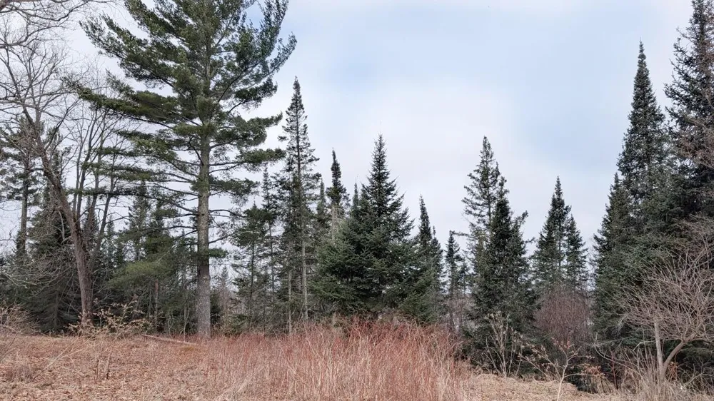 TDB County Rd 453 Bovey, MN 55709
