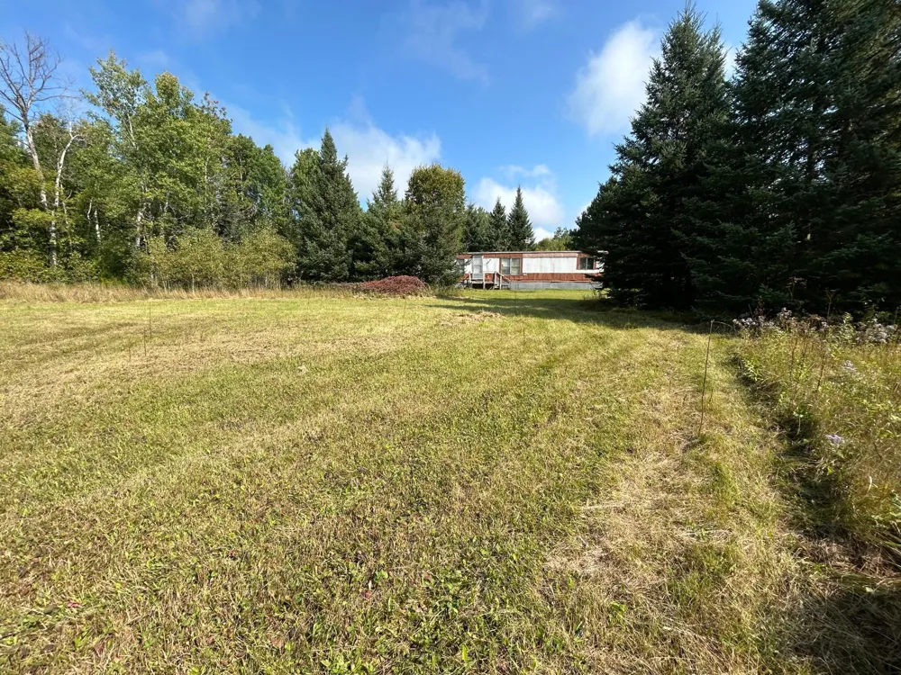 10629 Town Rd 34 Mizpah, MN 56660