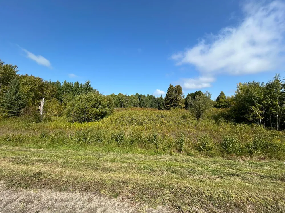 10629 Town Rd 34 Mizpah, MN 56660