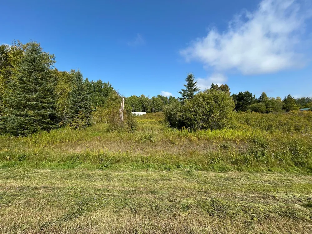 10629 Town Rd 34 Mizpah, MN 56660