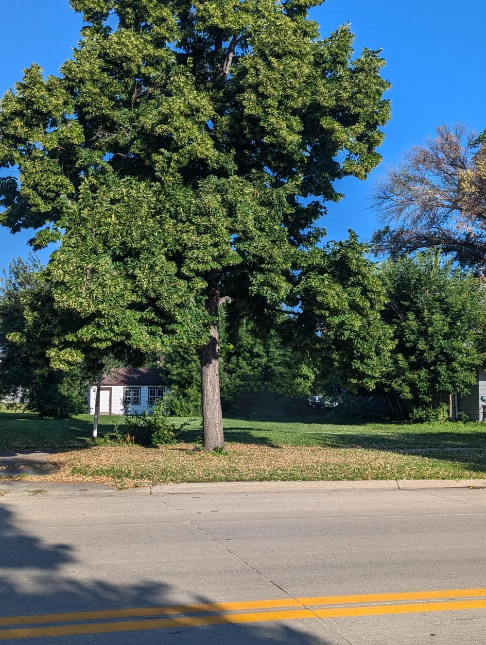 412 LANGER AVENUE S Casselton, ND 58012