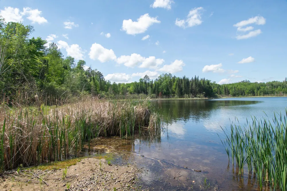 25440 O'Donnell Lane Bigfork, MN 56628
