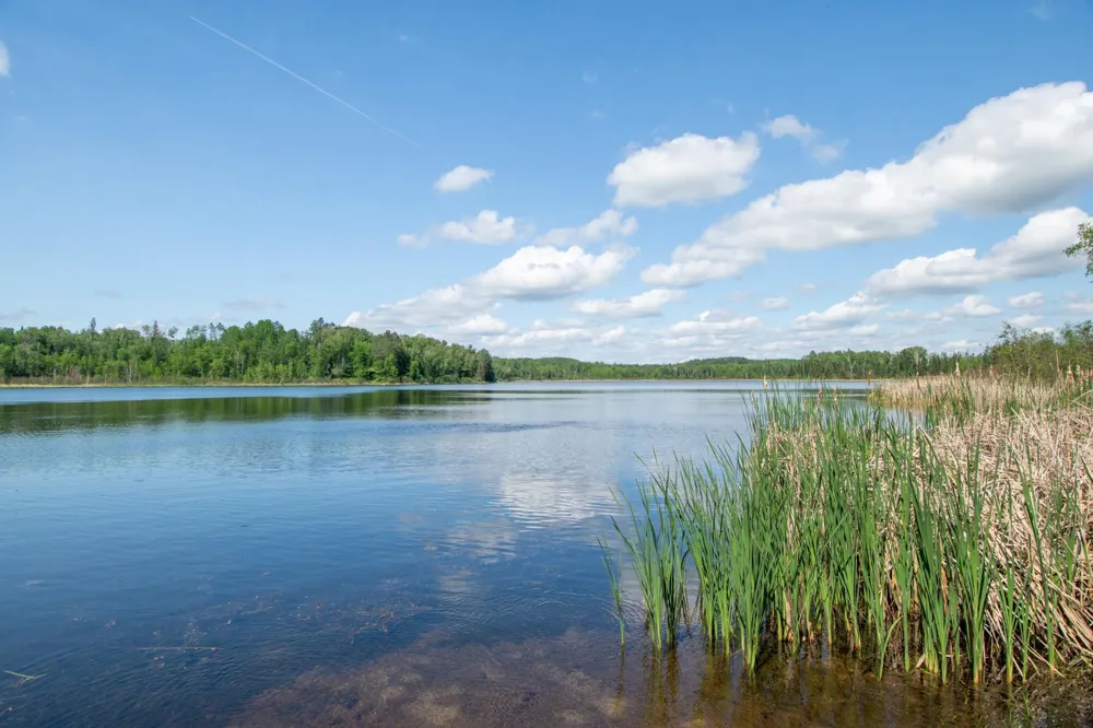 25440 O'Donnell Lane Bigfork, MN 56628