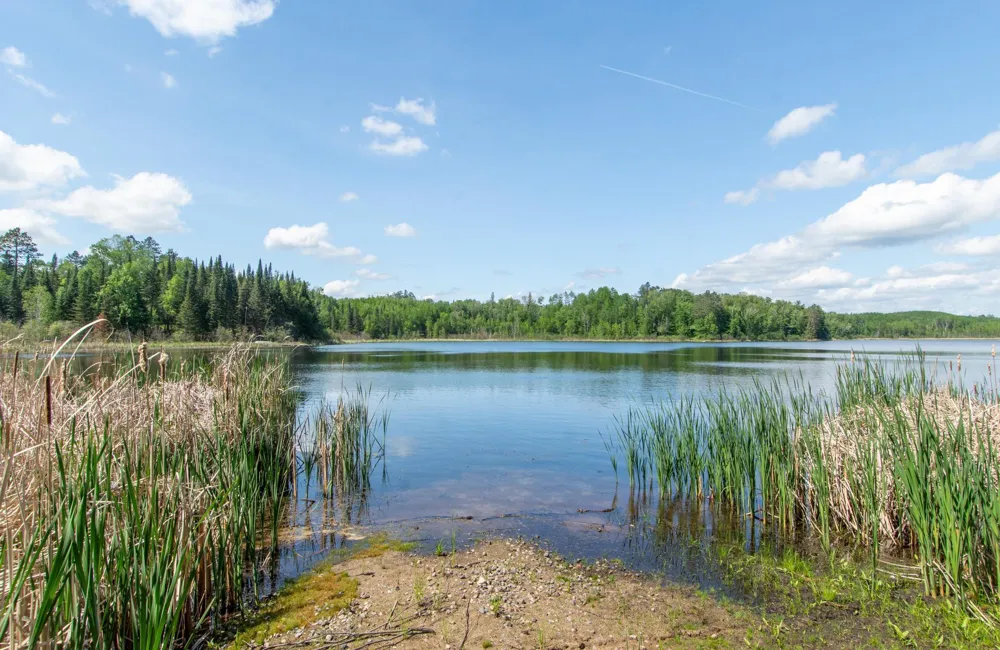 25440 O'Donnell Lane Bigfork, MN 56628