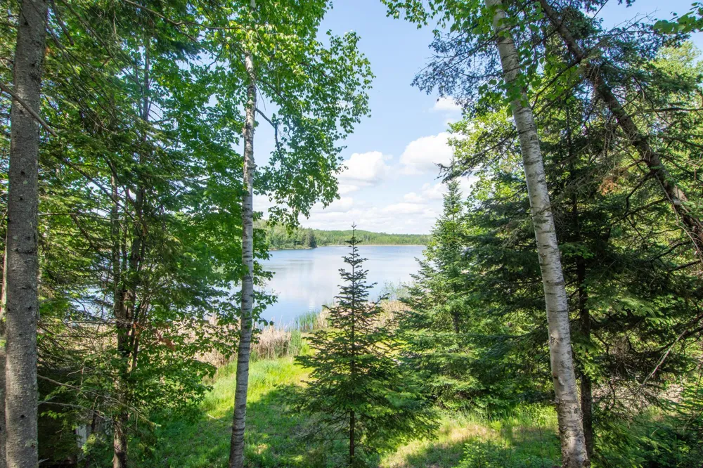 25440 O'Donnell Lane Bigfork, MN 56628