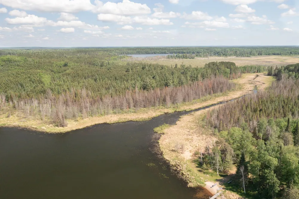 25440 O'Donnell Lane Bigfork, MN 56628