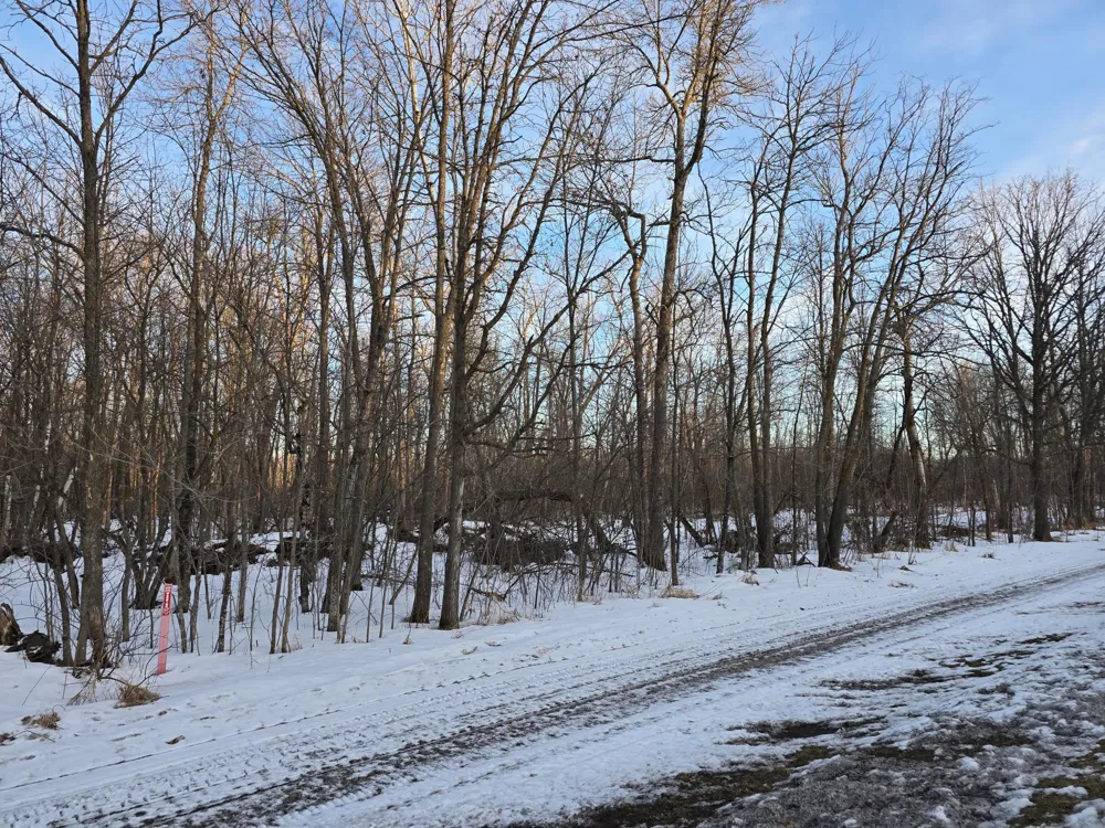 TBD Highway 47 Isle, MN 56342