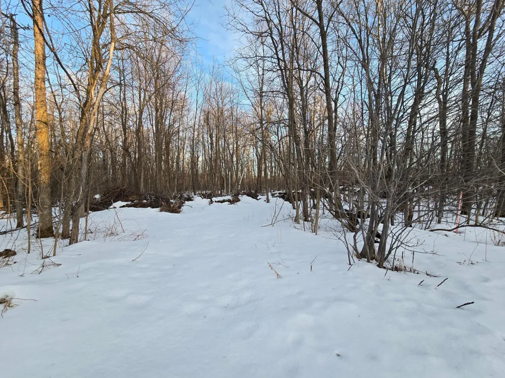 TBD Highway 47 Isle, MN 56342
