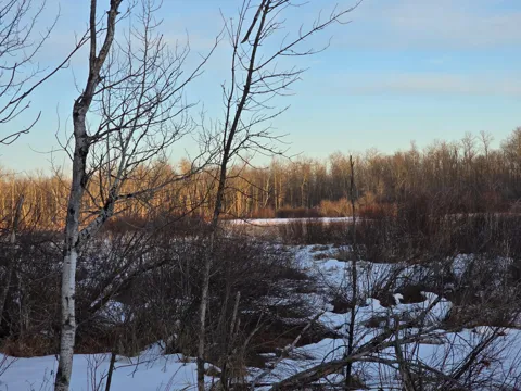 TBD Highway 47