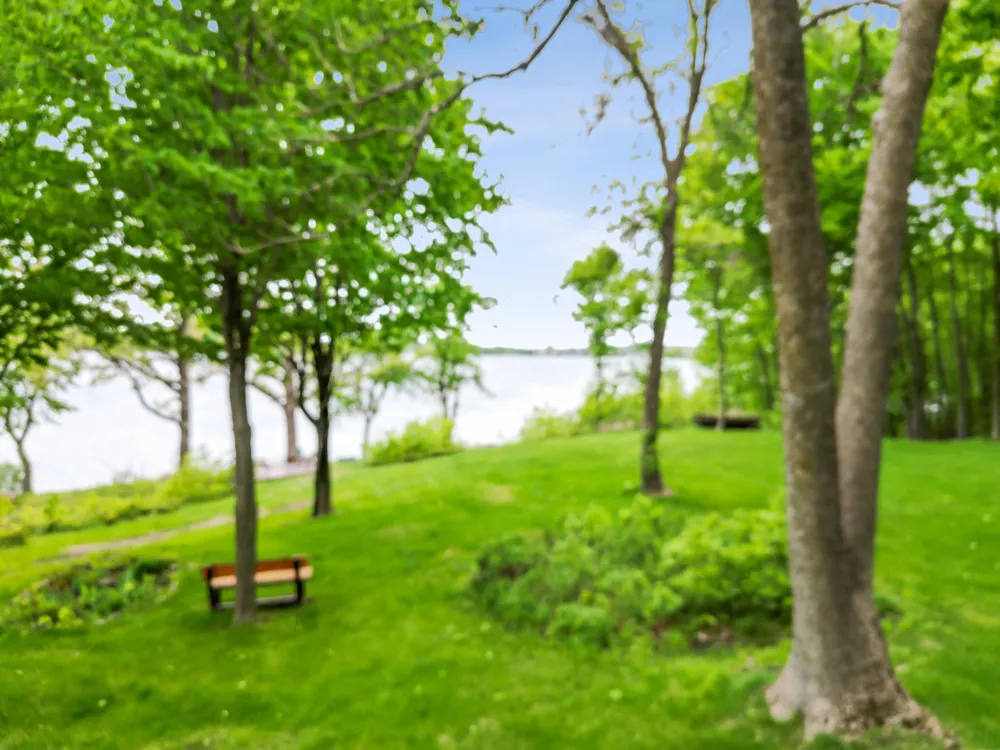 32331 Loon Drive Vergas, MN 56587
