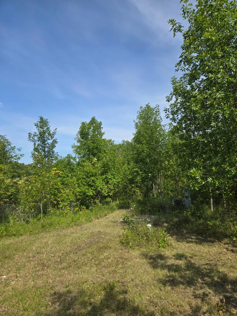 24793 Franklin Lake Road Pelican Rapids, MN 56572