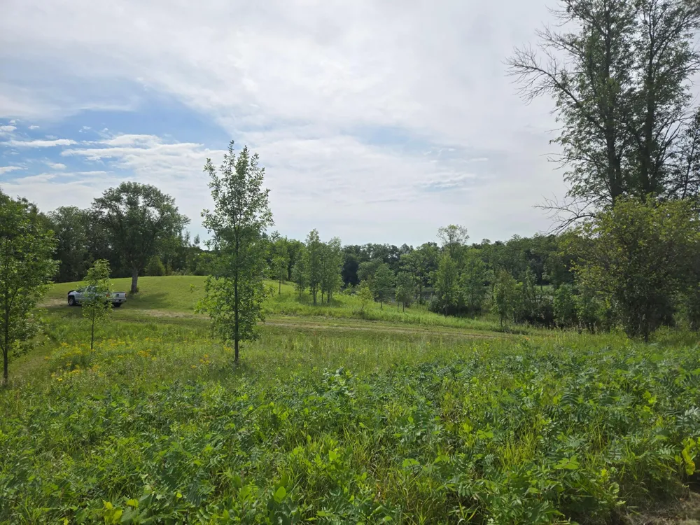 24793 Franklin Lake Road Pelican Rapids, MN 56572