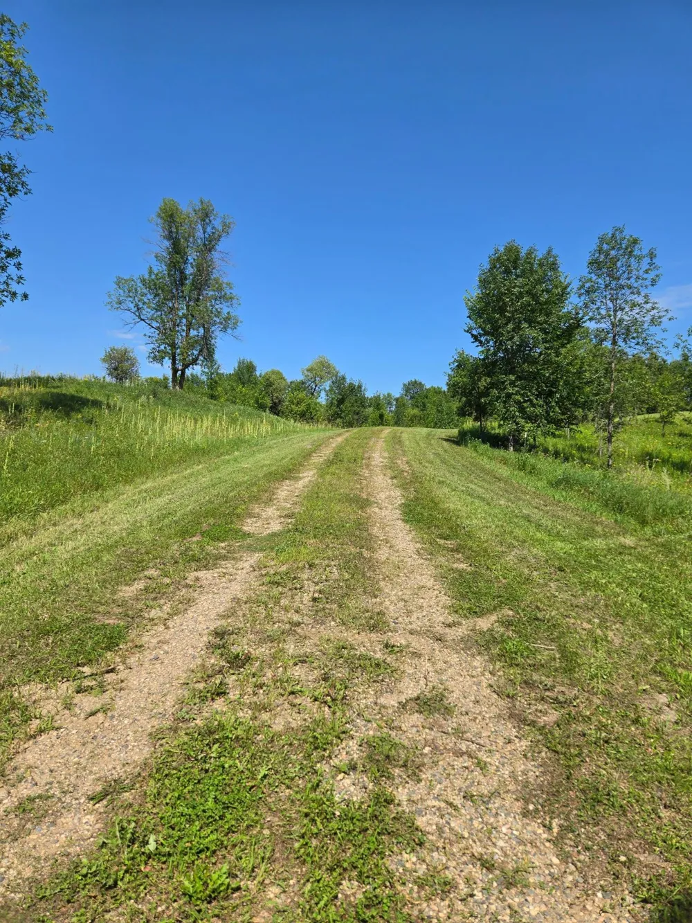 24793 Franklin Lake Road Pelican Rapids, MN 56572