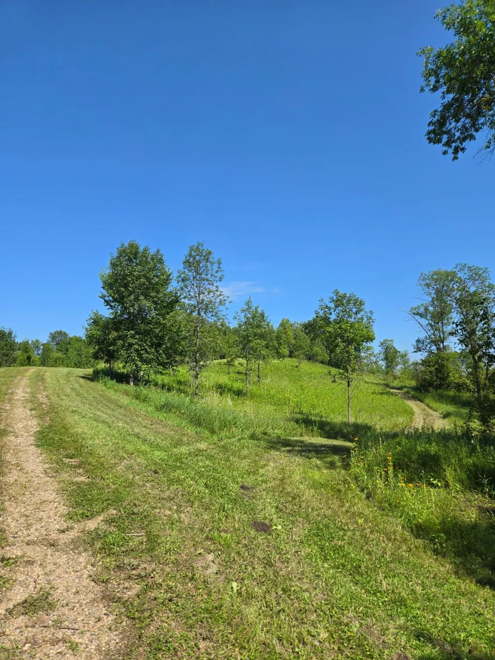 24793 Franklin Lake Road Pelican Rapids, MN 56572