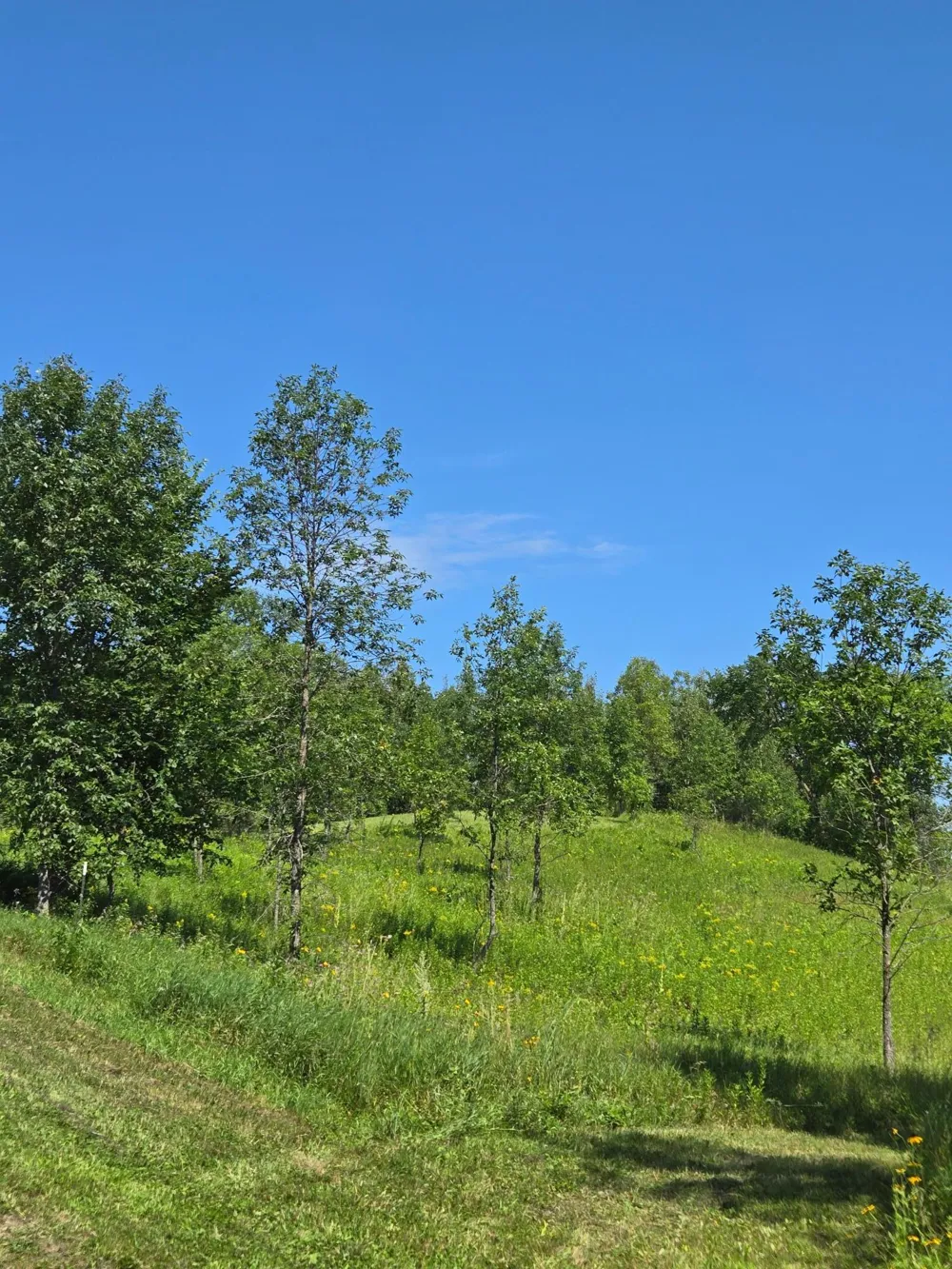 24793 Franklin Lake Road Pelican Rapids, MN 56572