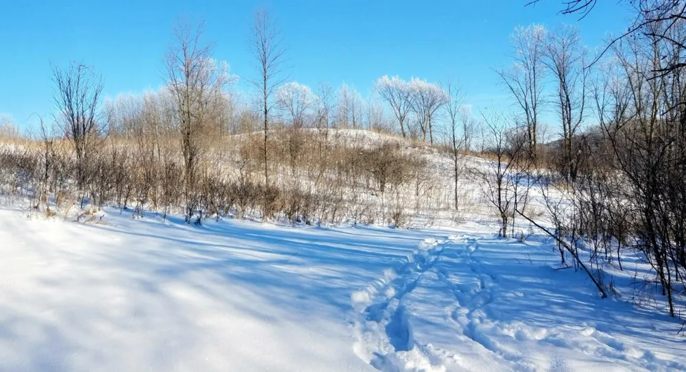24793 Franklin Lake Road Pelican Rapids, MN 56572