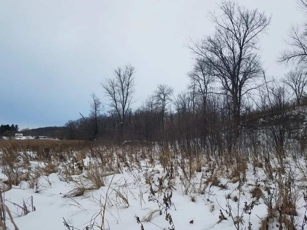 24793 Franklin Lake Road Pelican Rapids, MN 56572