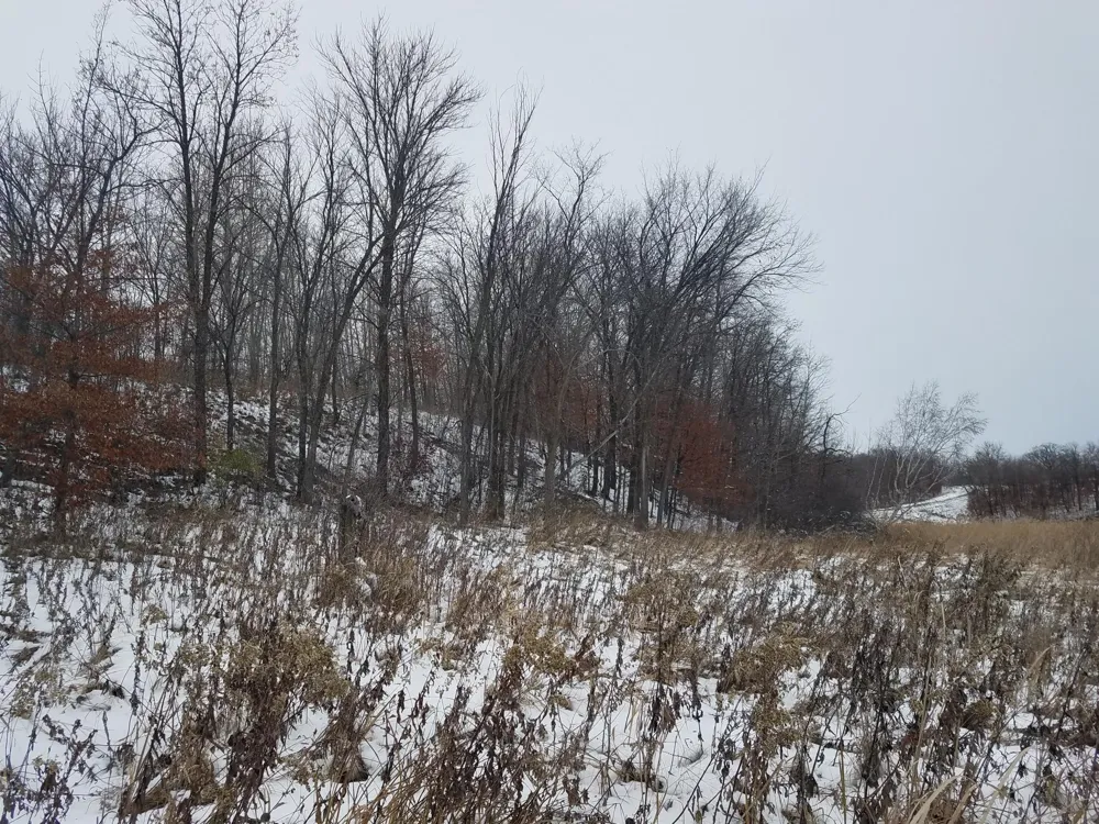 24793 Franklin Lake Road Pelican Rapids, MN 56572