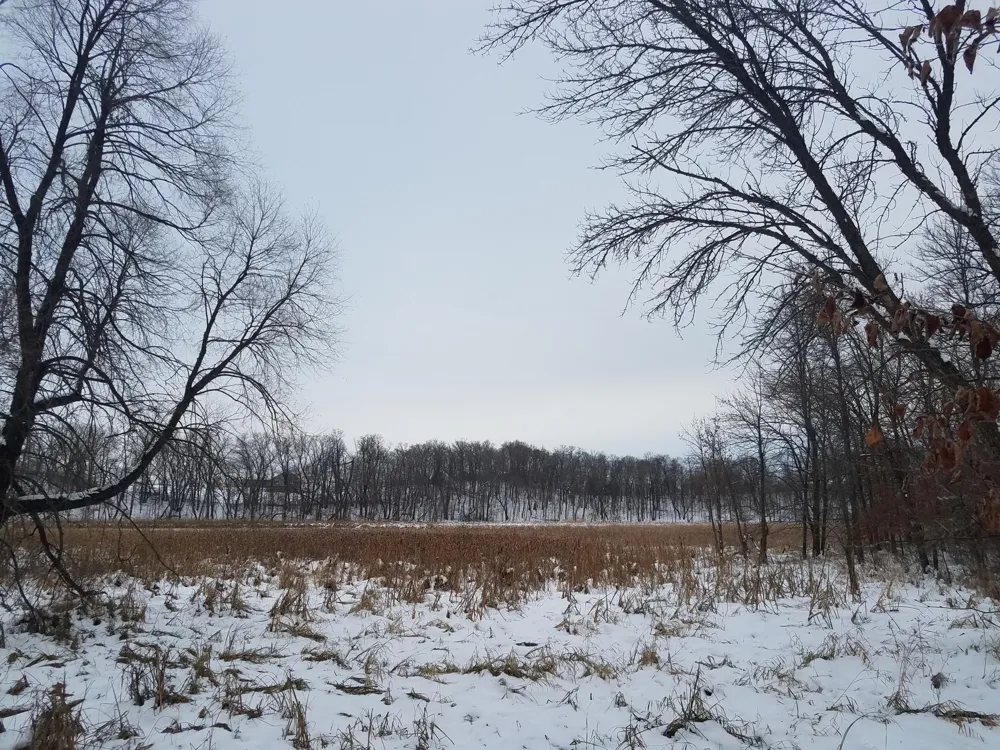 24793 Franklin Lake Road Pelican Rapids, MN 56572