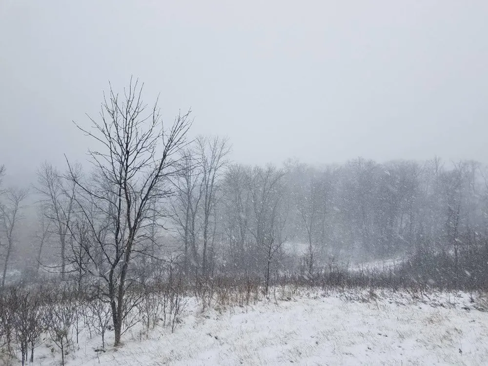 24793 Franklin Lake Road Pelican Rapids, MN 56572