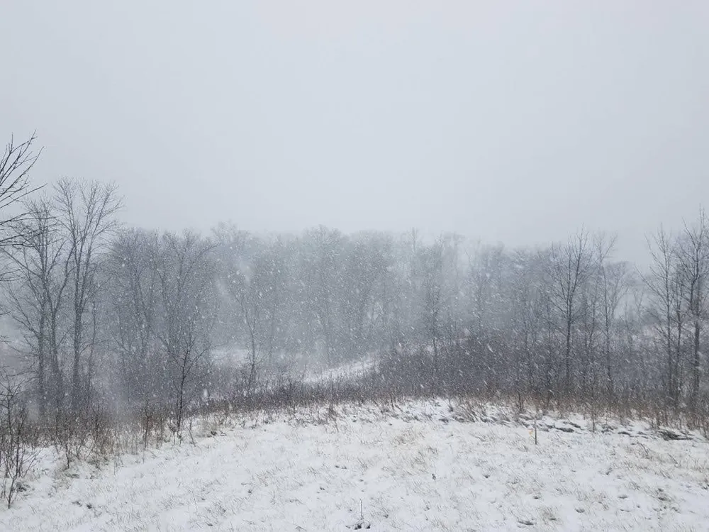 24793 Franklin Lake Road Pelican Rapids, MN 56572