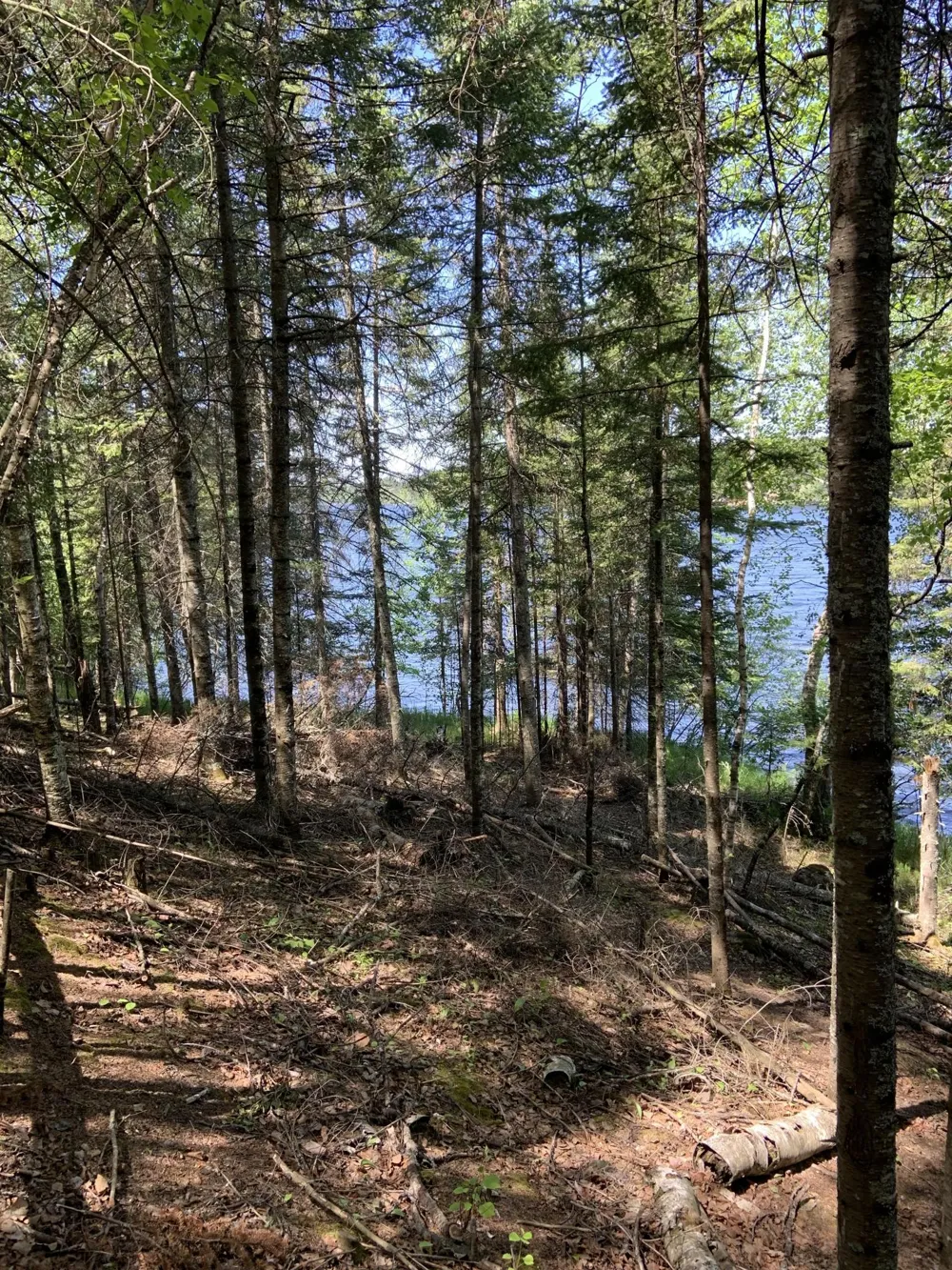 0000 Bass Lake Road Gilbert, MN 55741