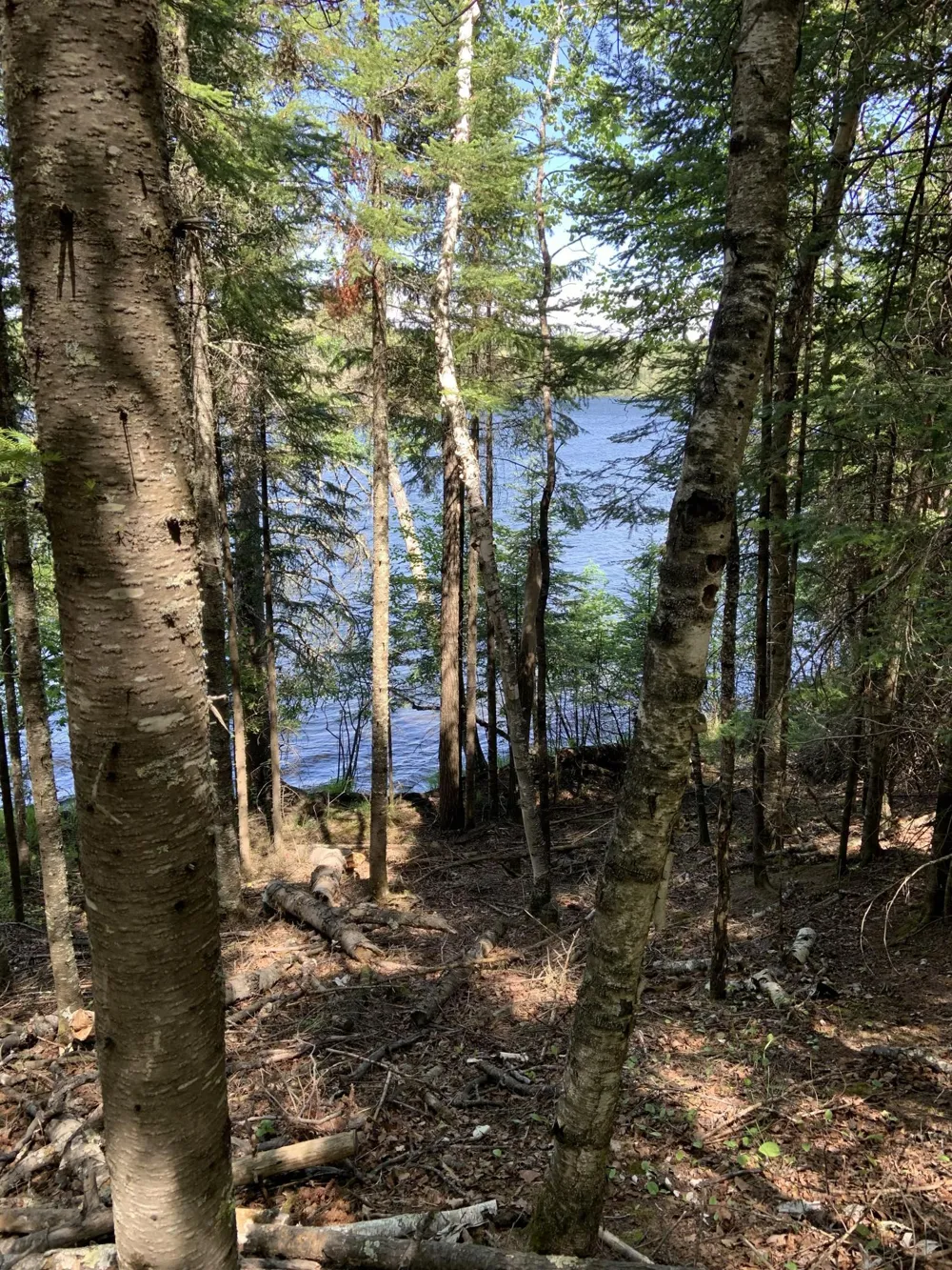 0000 Bass Lake Road Gilbert, MN 55741